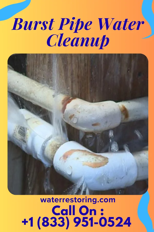 Burst Pipe Water Cleanup in Westville, NJ