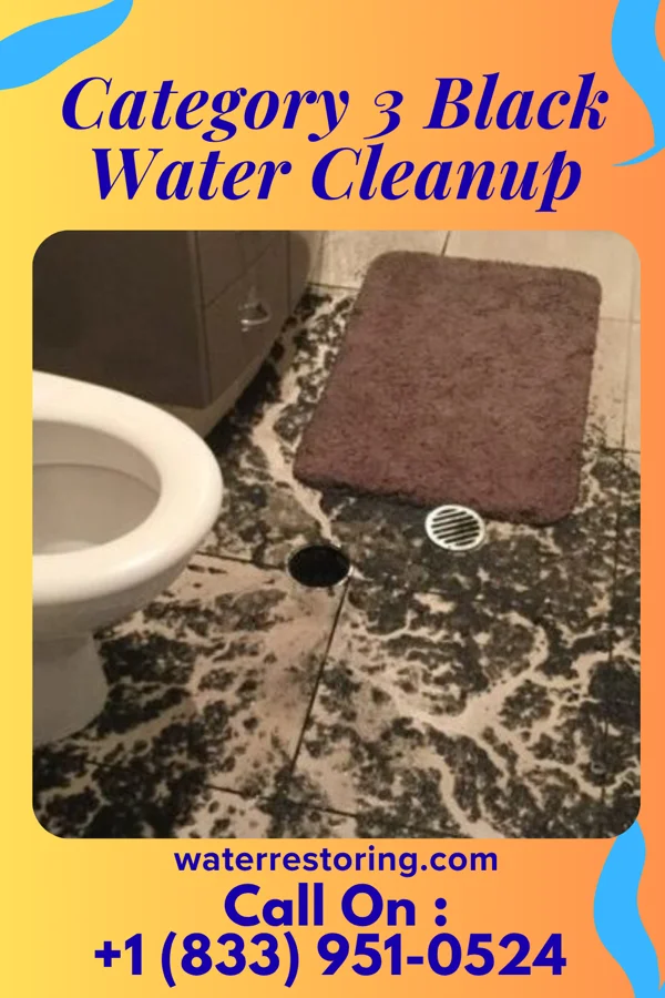 Category 3 Black Water Cleanup in Westville, NJ