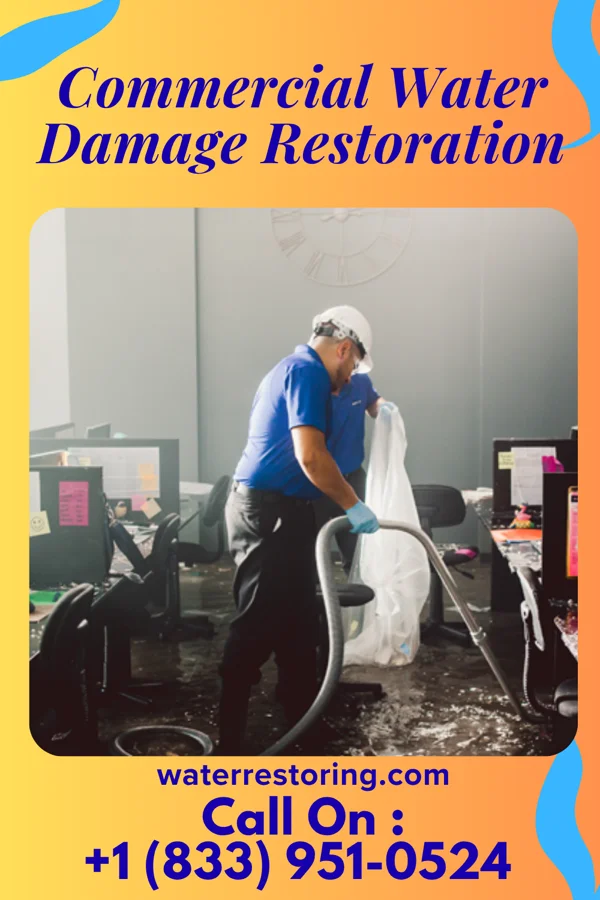 Commercial Water Damage Restoration in Westville, NJ