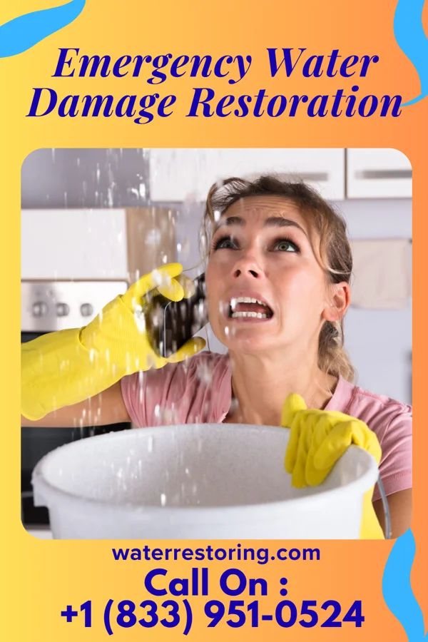 Emergency Water Damage Restoration in Westville, NJ