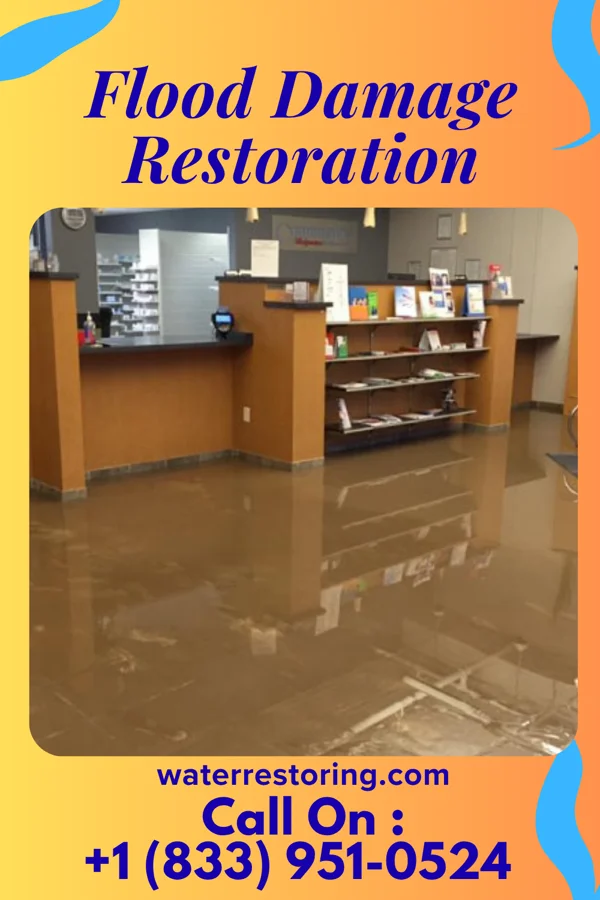 Flood Damage Restoration in Westville, NJ