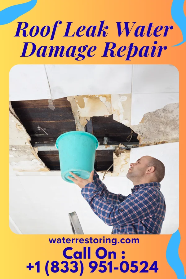Roof Leak Water Damage Repair in Westville, NJ