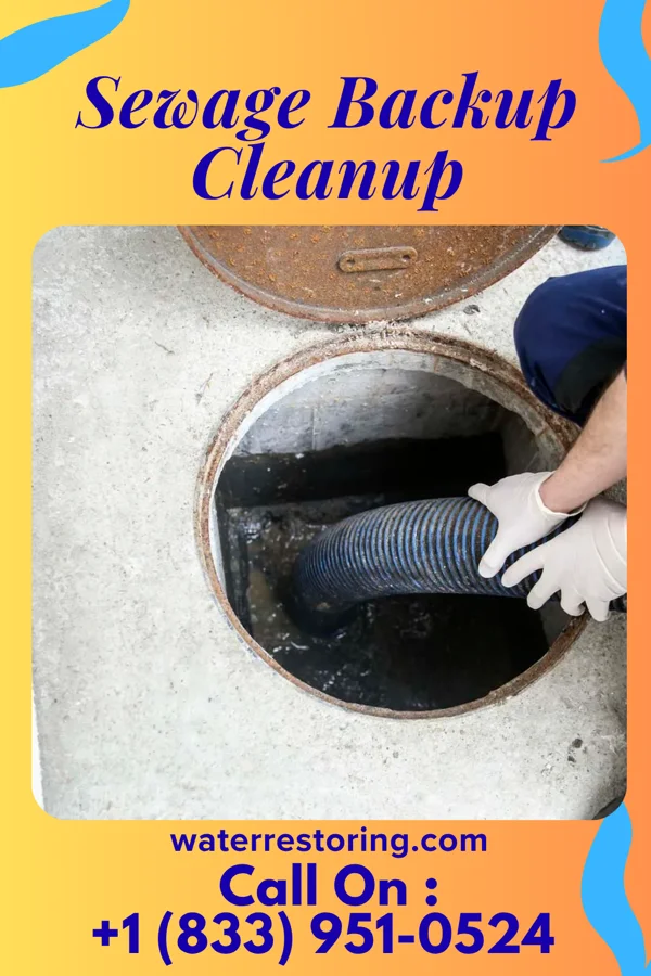 Sewage Backup Cleanup in Westville, NJ