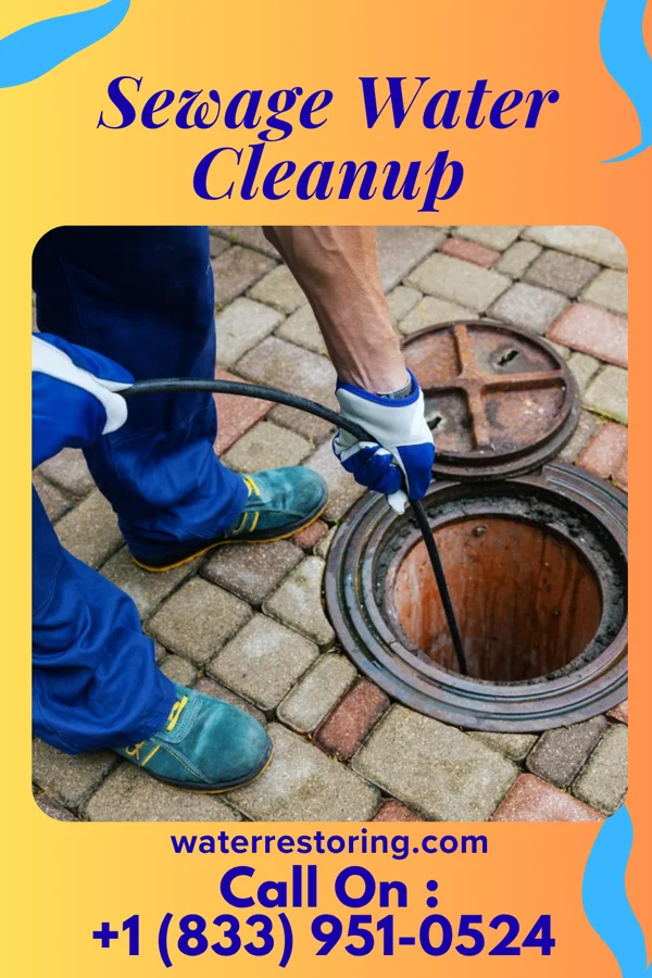 Sewage Water Cleanup in Westville, NJ