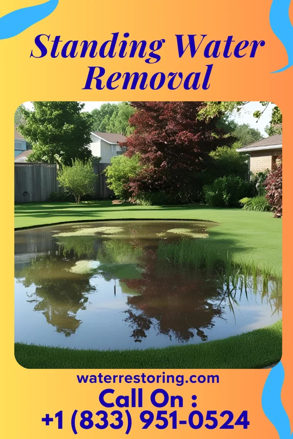 Standing Water Removal in Westville, NJ
